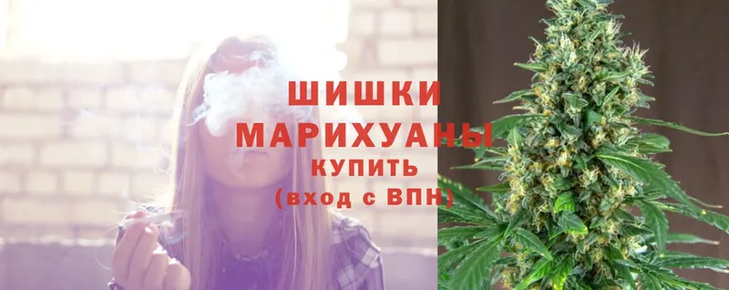 как найти закладки  Зуевка  Шишки марихуана SATIVA & INDICA 